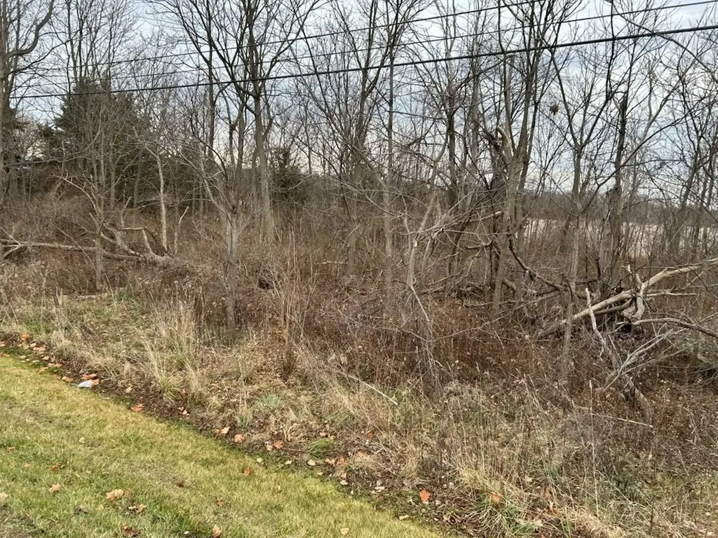 7690 M-71 Highway Vernon Township MI 48429