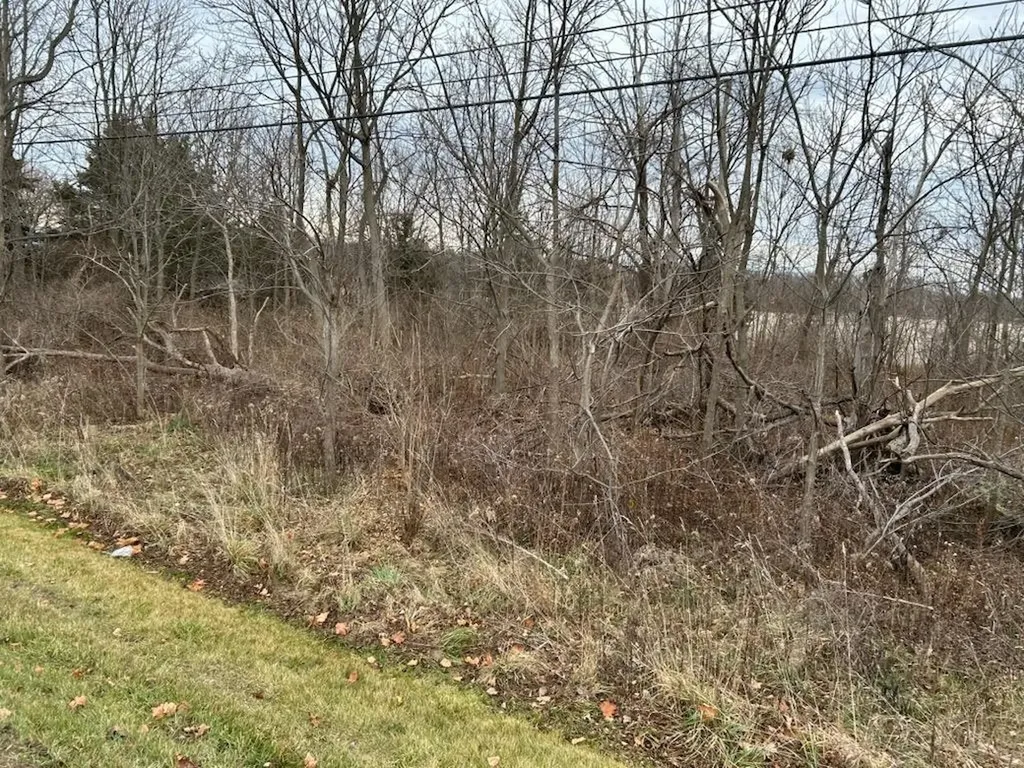 7690 M-71 Highway Vernon Township MI 48429