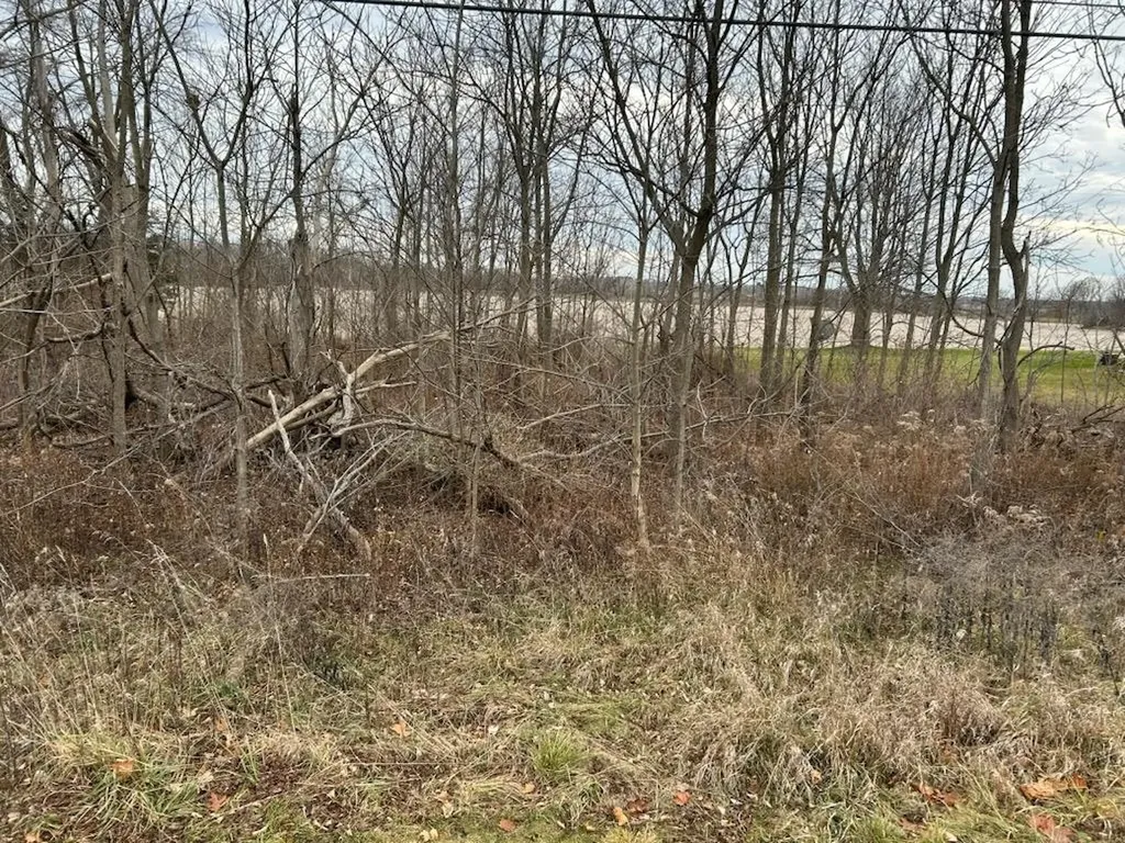 7690 M-71 Highway Vernon Township MI 48429