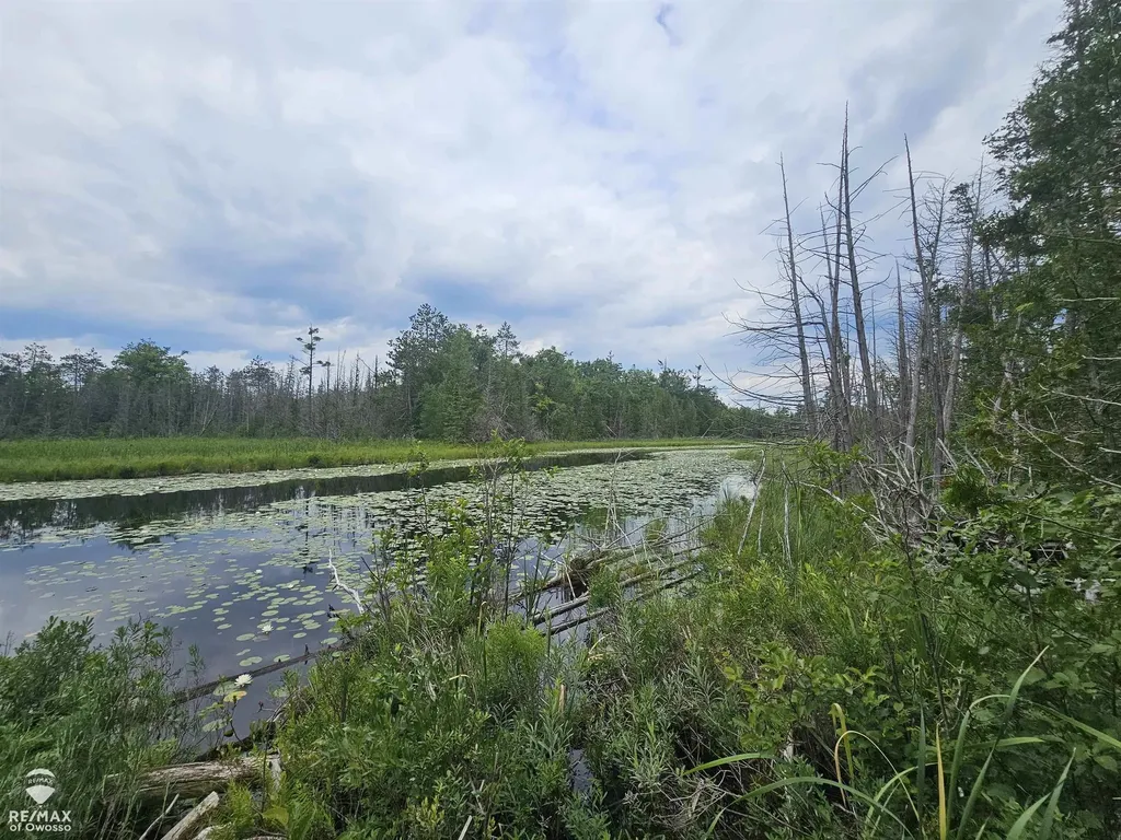 Spile Dam Road Case Township MI 49759