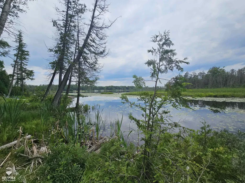 Spile Dam Road Case Township MI 49759