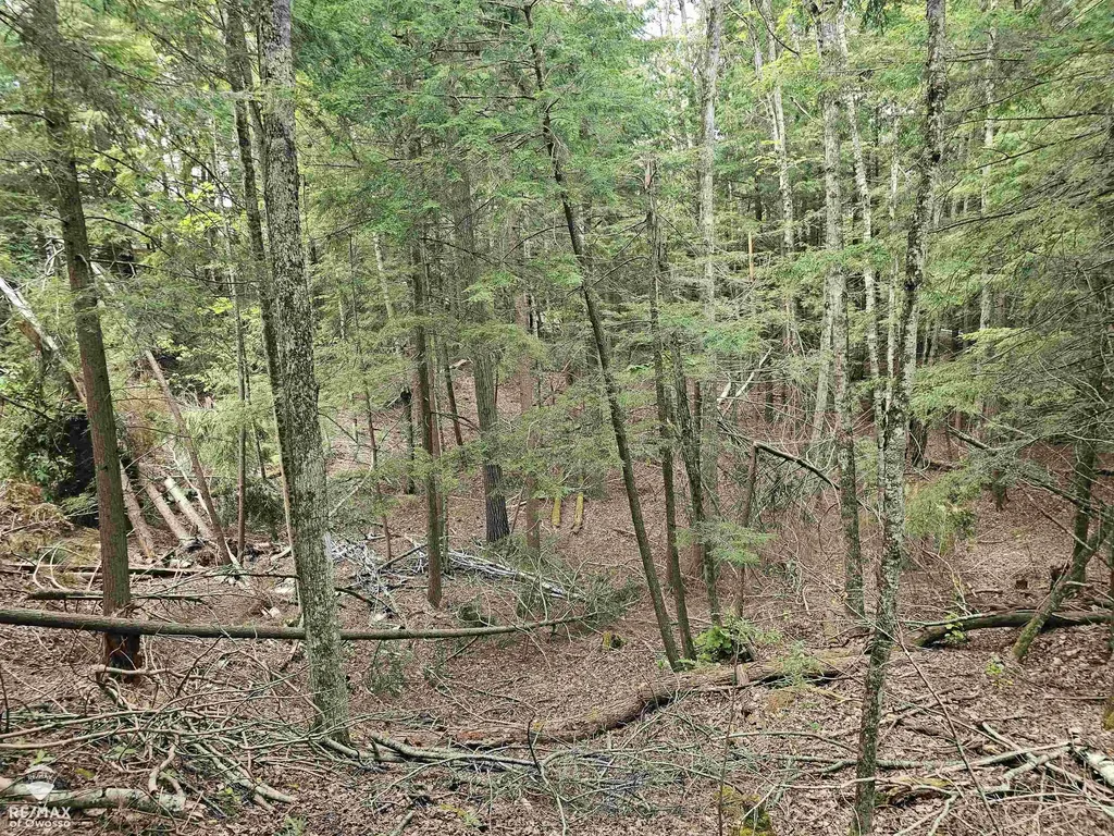 Spile Dam Road Case Township MI 49759