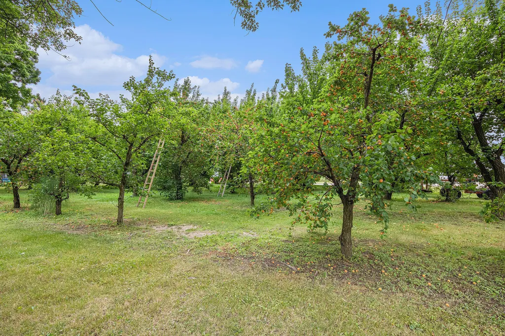 7349 E Main Street Pipestone Township MI 49111