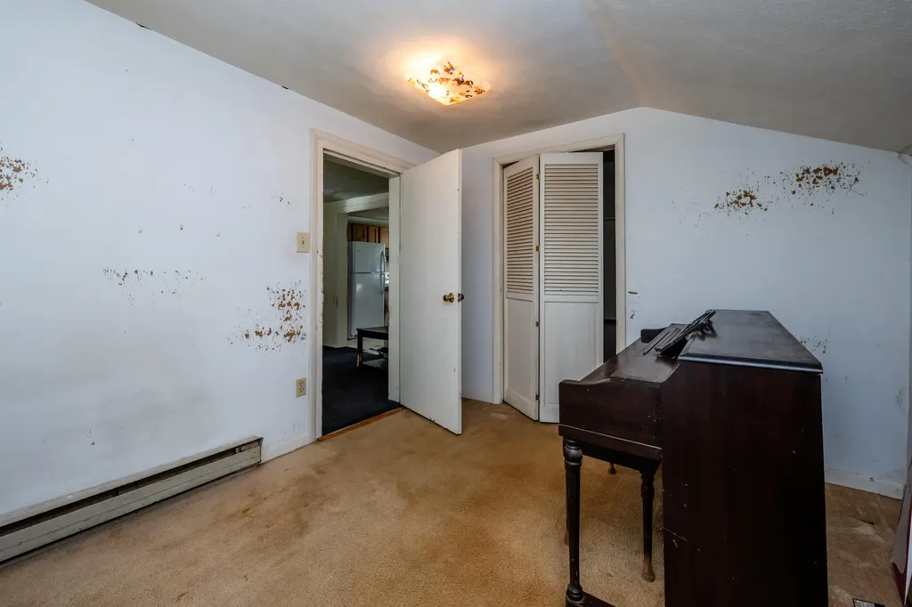 317 S Harrison Street Berrien Springs Village MI 49103