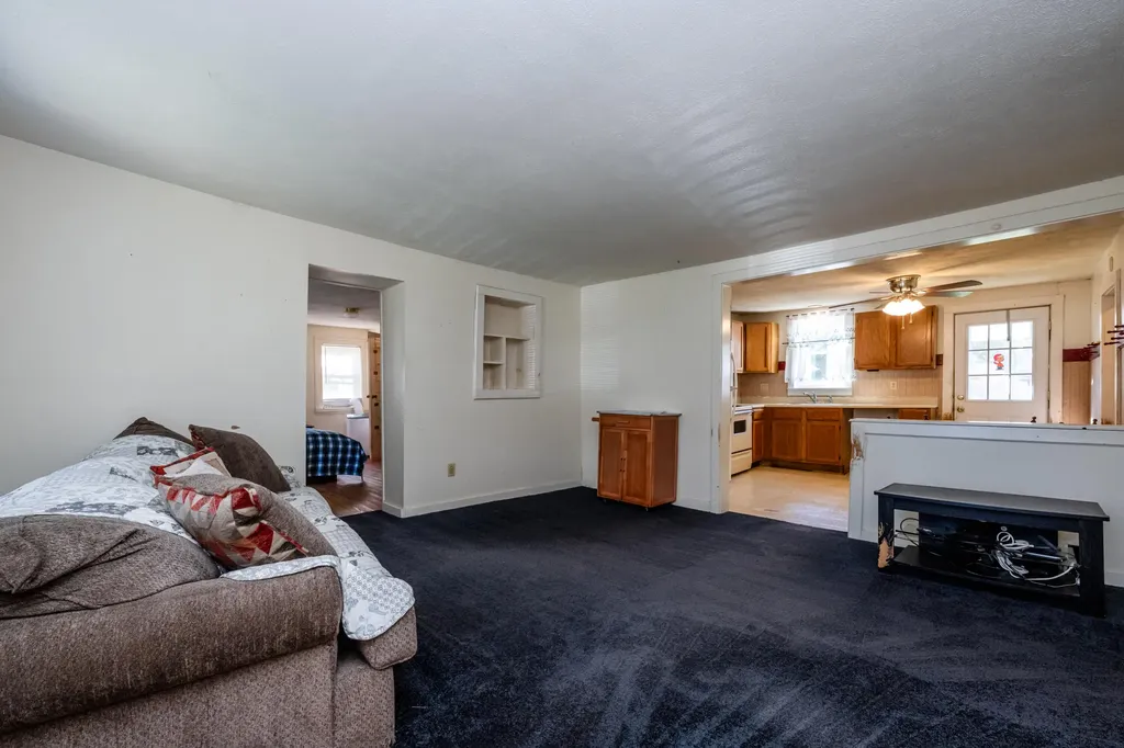 317 S Harrison Street Berrien Springs Village MI 49103