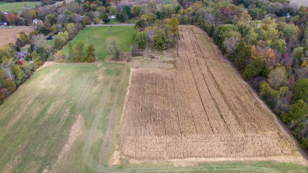 9936 E Wilson Road New Buffalo Township MI 49117