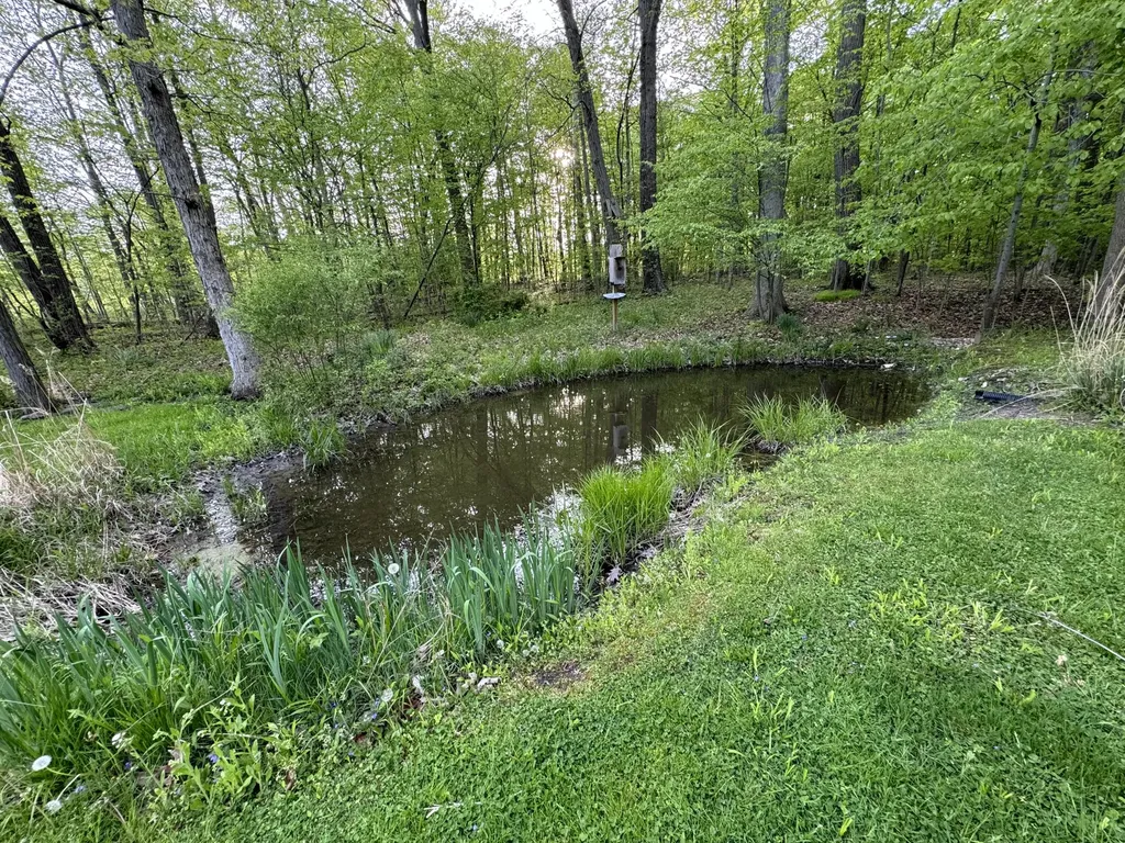 6629 W East Road Chikaming Township MI 49128