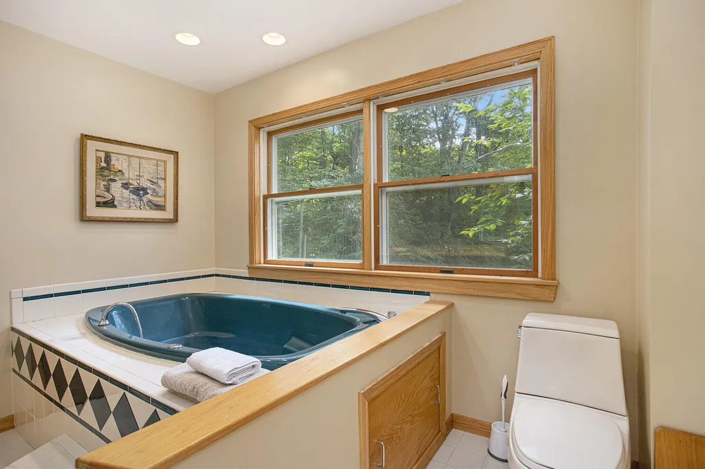 59688 Summit Street Fabius Township MI 49093