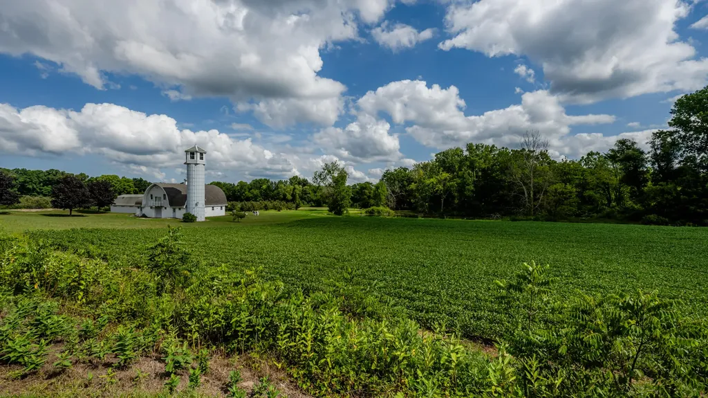 1955 Angling Road Bainbridge Township MI 49098