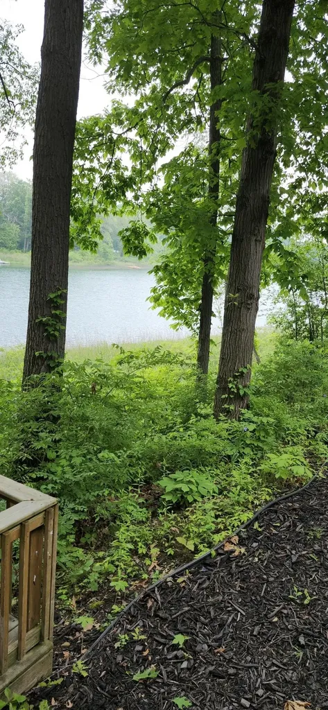 21932 Buffalo Ln. Lane Calvin Township MI 49031