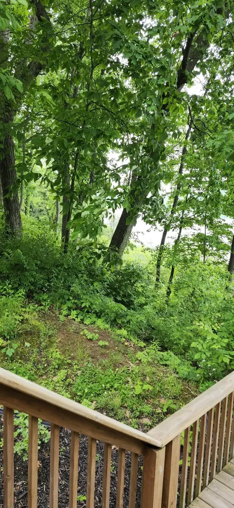 21932 Buffalo Ln. Lane Calvin Township MI 49031