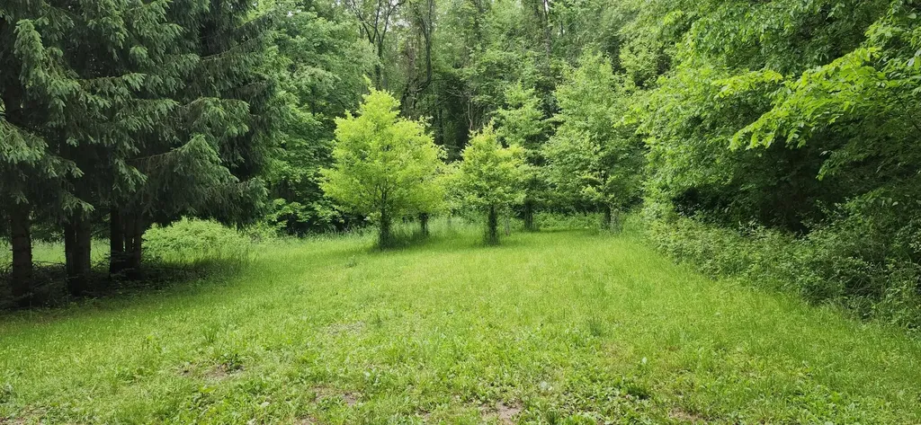 21932 Buffalo Ln. Lane Calvin Township MI 49031