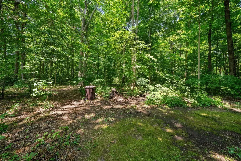 61738 Lake View Drive Penn Township MI 49031