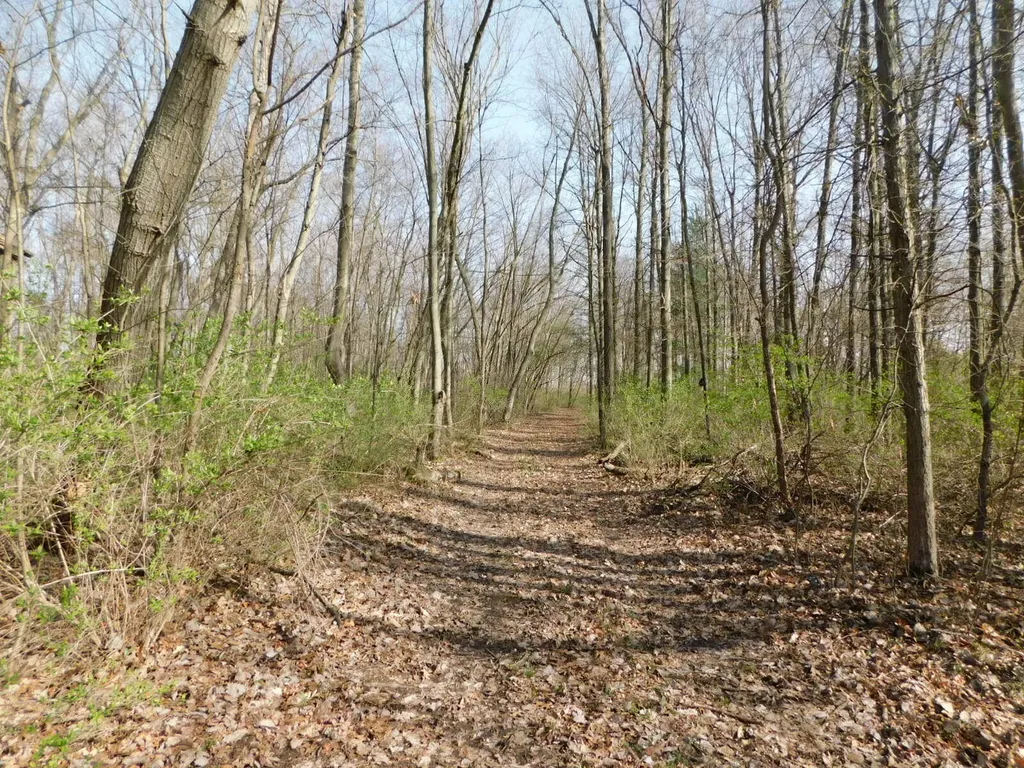 1976 Townline Road Sodus Township MI 49022