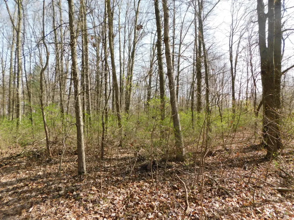 1976 Townline Road Sodus Township MI 49022
