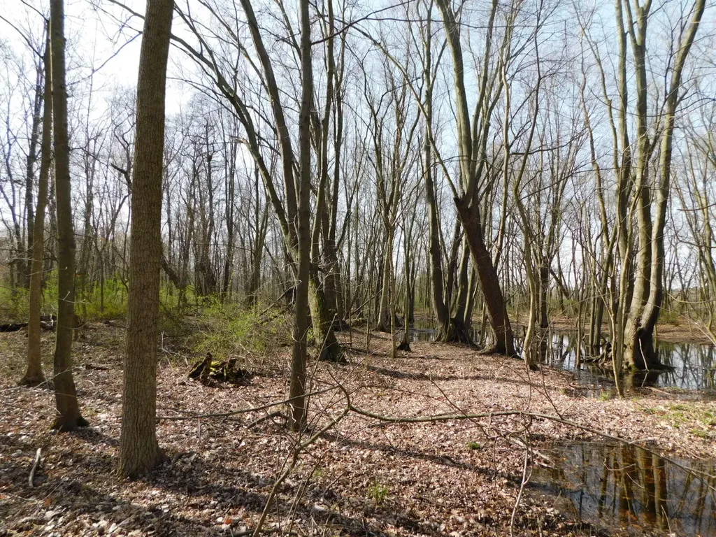 1976 Townline Road Sodus Township MI 49022