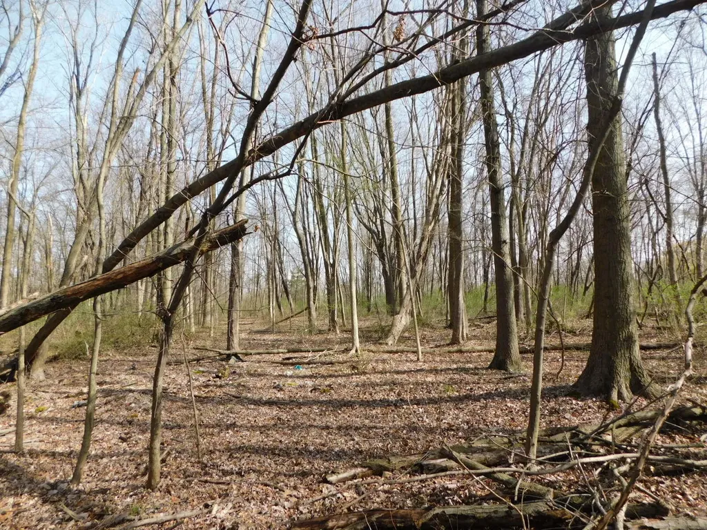 1976 Townline Road Sodus Township MI 49022