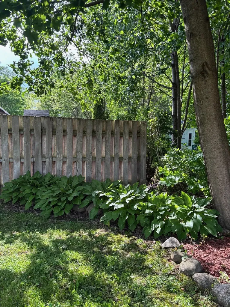 404 Cedar Street Three Oaks Village MI 49128