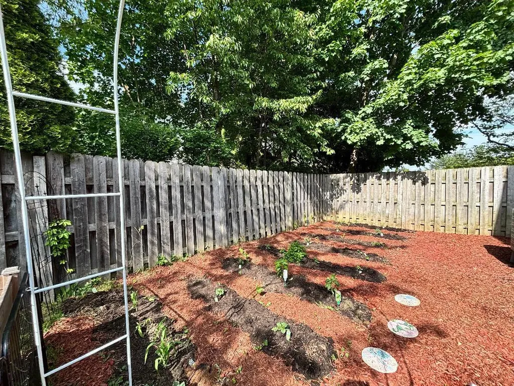 404 Cedar Street Three Oaks Village MI 49128
