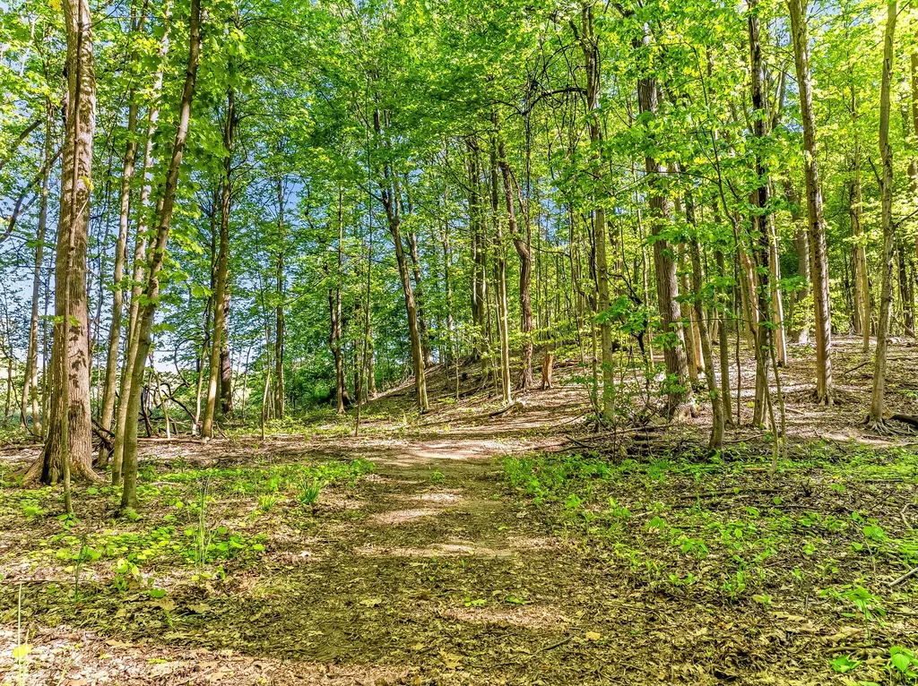 2099 E Clear Lake Road Buchanan Township MI 49107