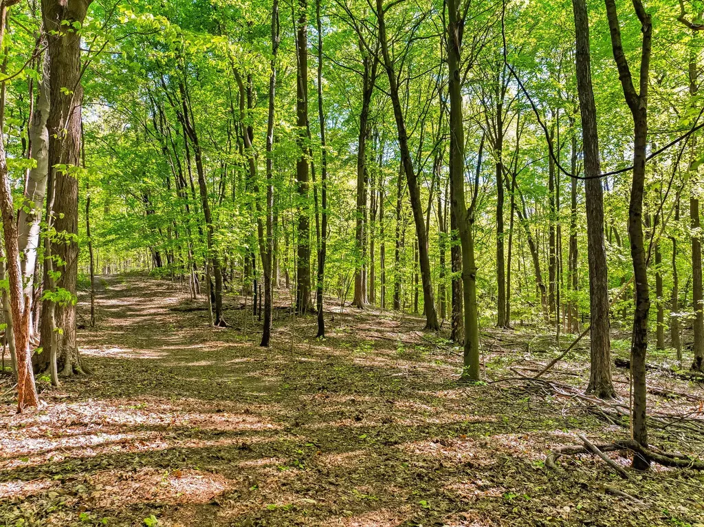 2099 E Clear Lake Road Buchanan Township MI 49107