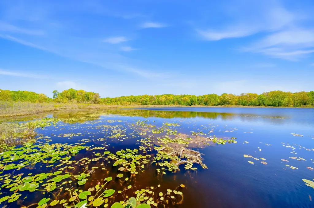2099 E Clear Lake Road Buchanan Township MI 49107