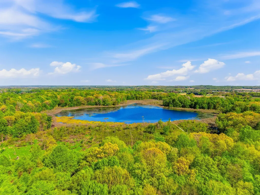 2099 E Clear Lake Road Buchanan Township MI 49107