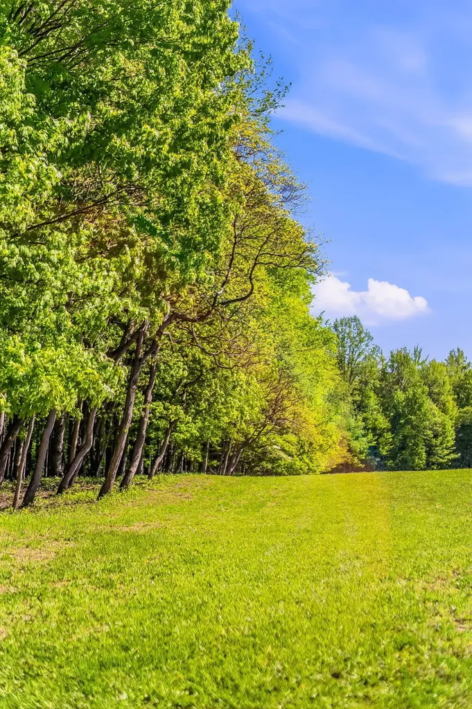 2099 E Clear Lake Road Buchanan Township MI 49107
