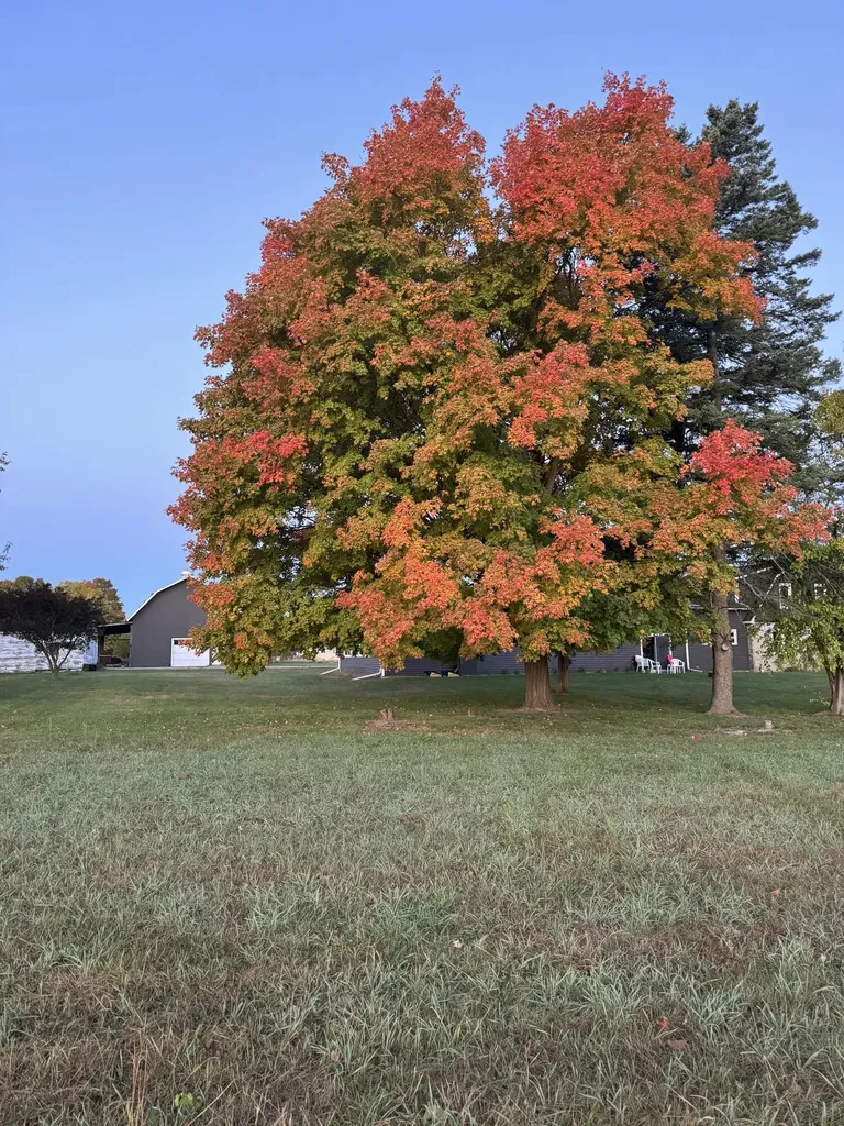 29561 E Red Arrow Highway Antwerp Township MI 49079