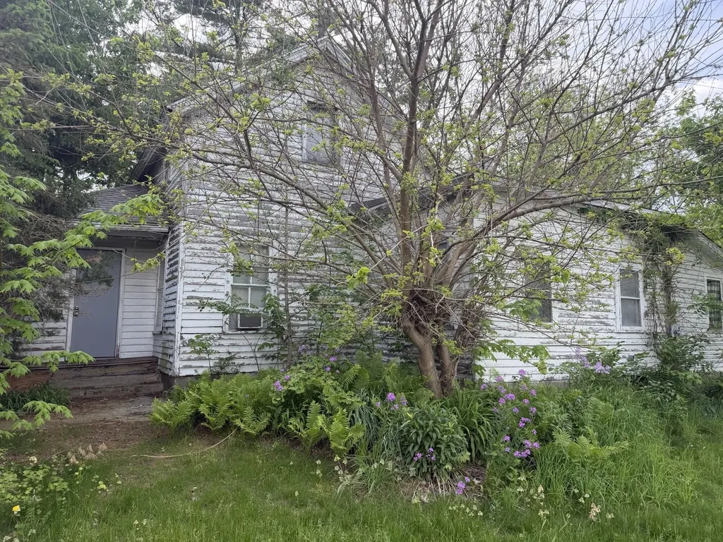 111 E St Marys Street Decatur Village MI 49045