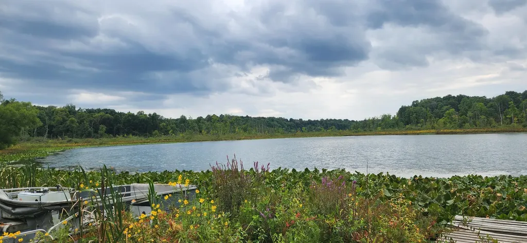 64778 Union Road Calvin Township MI 49031