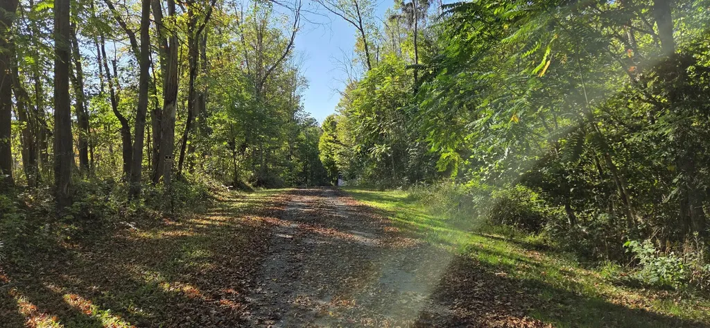 64778 Union Road Calvin Township MI 49031