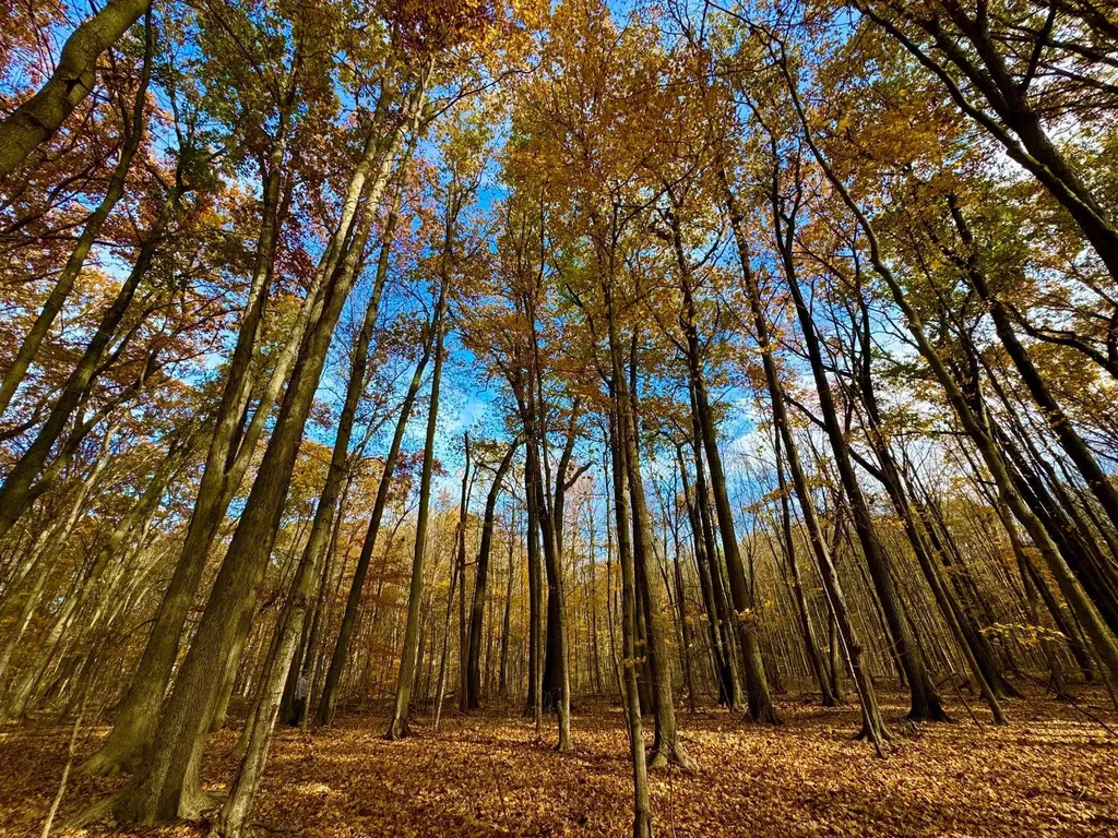 6629 W East Road Chikaming Township MI 49128