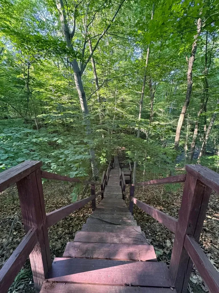 6629 W East Road Chikaming Township MI 49128