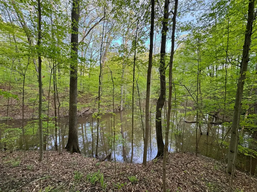 6629 W East Road Chikaming Township MI 49128