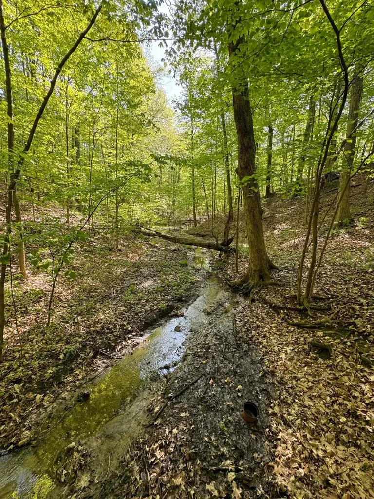 6629 W East Road Chikaming Township MI 49128