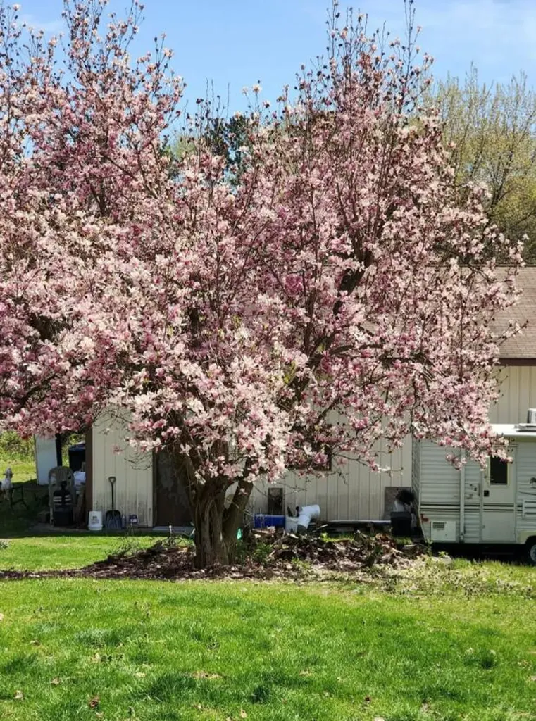 59021 County Road 215 Lawrence Township MI 49064