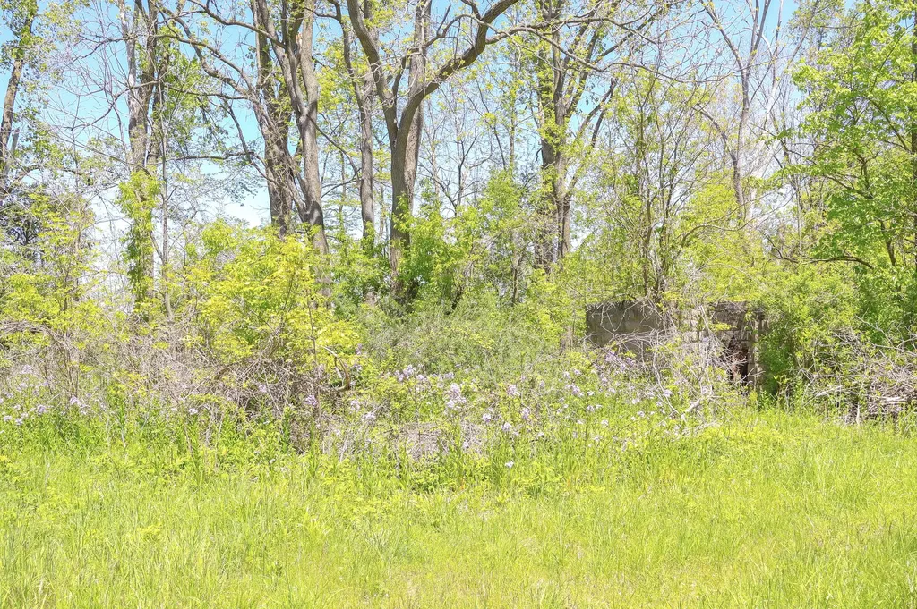 7133 Us Highway 12 Three Oaks Township MI 49128