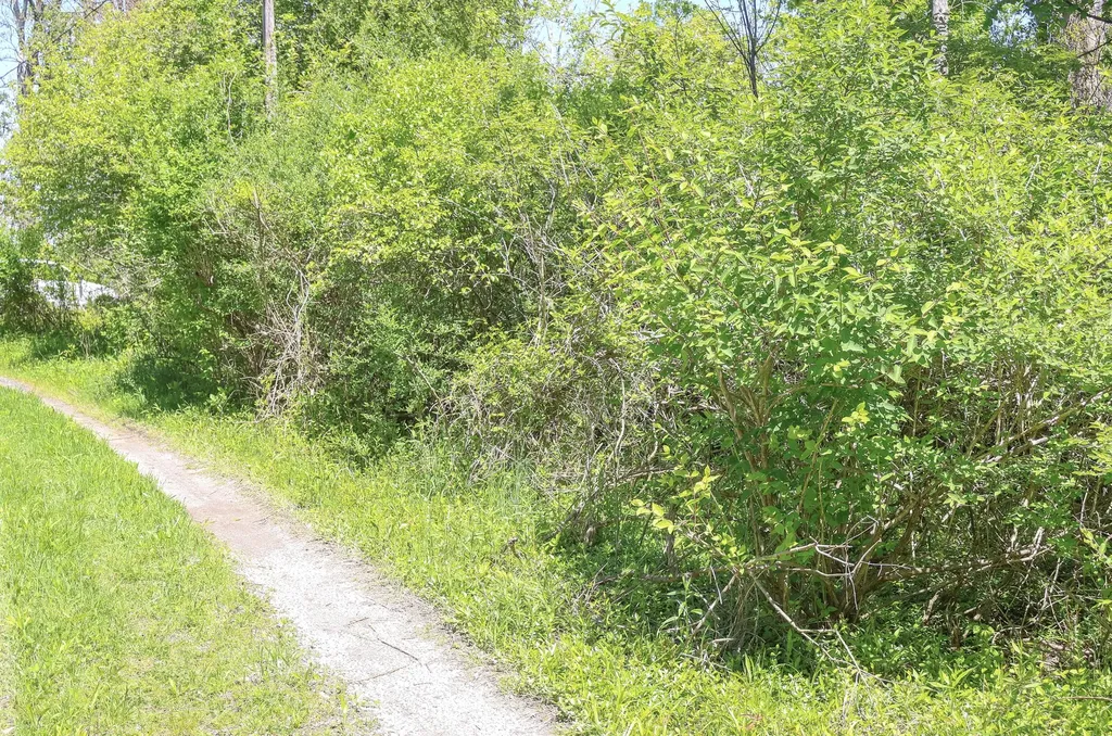 7133 Us Highway 12 Three Oaks Township MI 49128