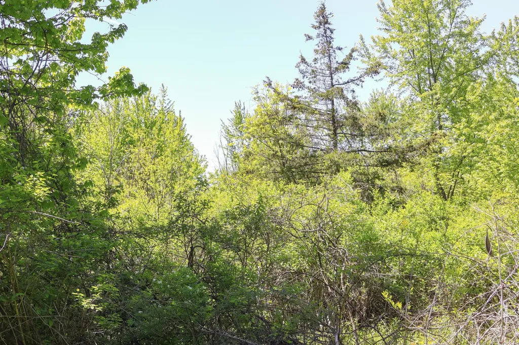 7133 Us Highway 12 Three Oaks Township MI 49128
