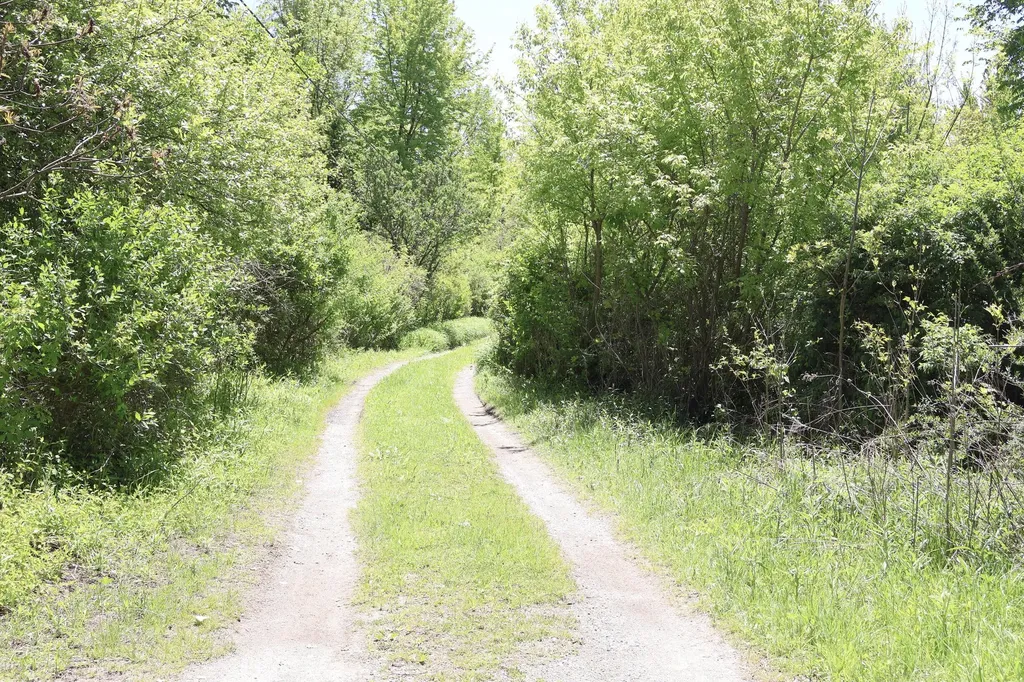 7133 Us Highway 12 Three Oaks Township MI 49128