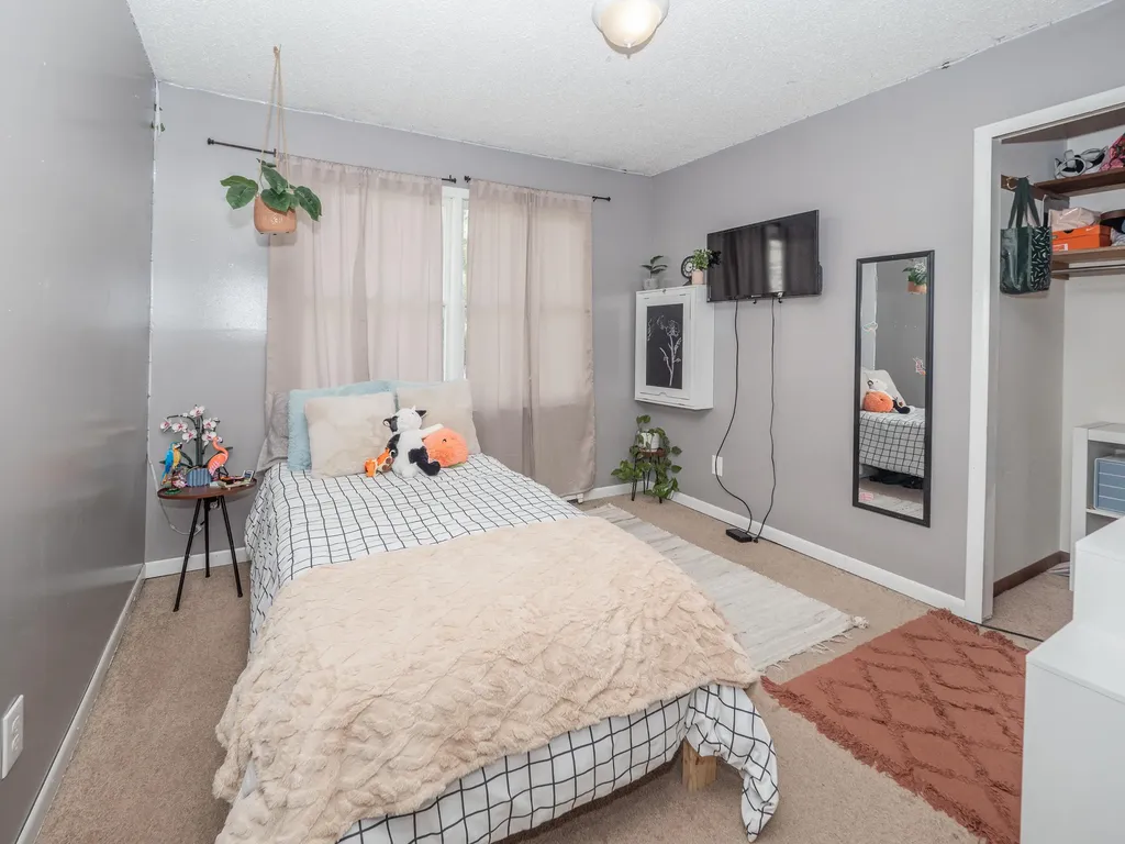 45523 Eleanor Drive Decatur Township MI 49045