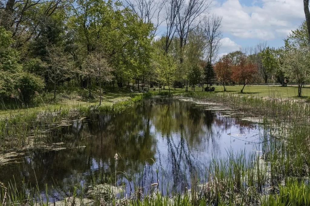 11971 S Hildebrandt Road Chikaming Township MI 49125