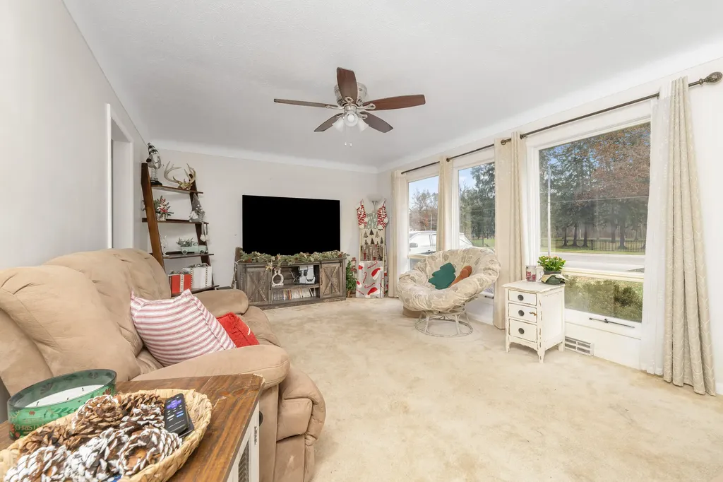 733 Hazen Street Paw Paw Village MI 49079