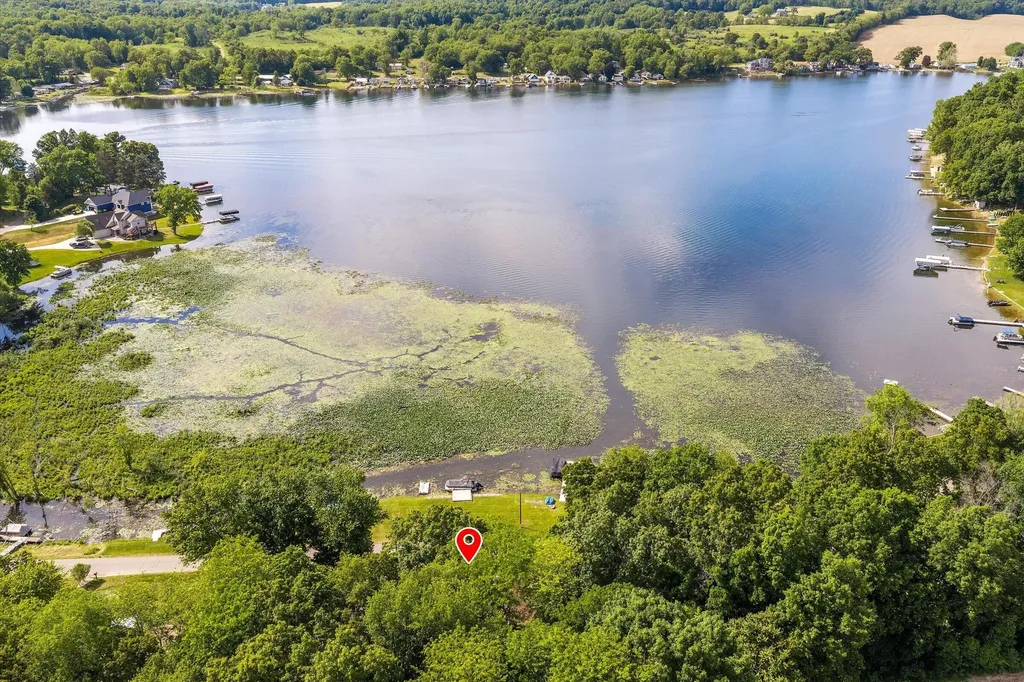 10333 Walnut Drive Fabius Township MI 49093