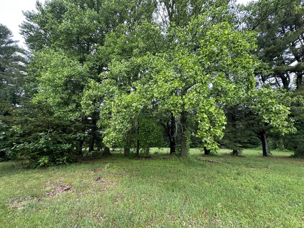 33259 Orchard Street Covert Township MI 49043