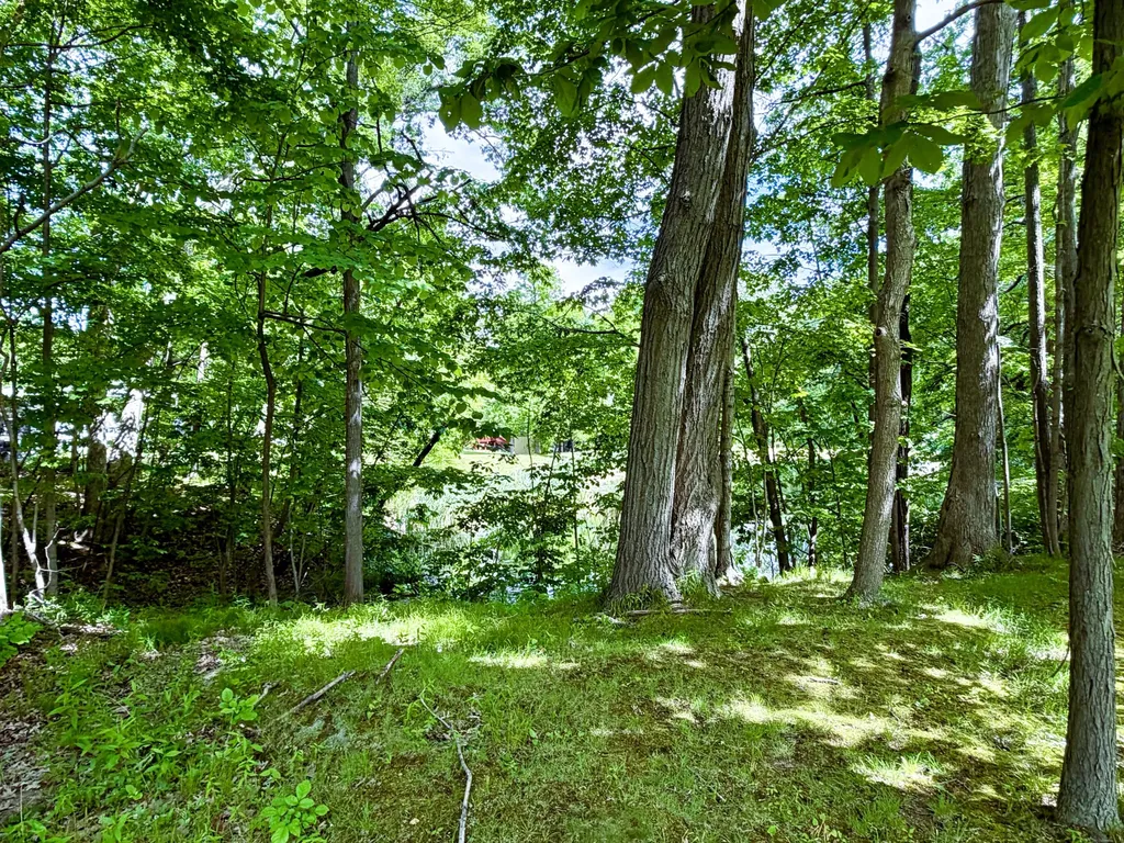 8000 Warren Woods Road Three Oaks Township MI 49128