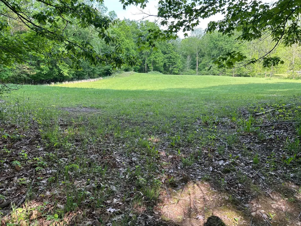 15300 Rome Road Rollin Township MI 49253
