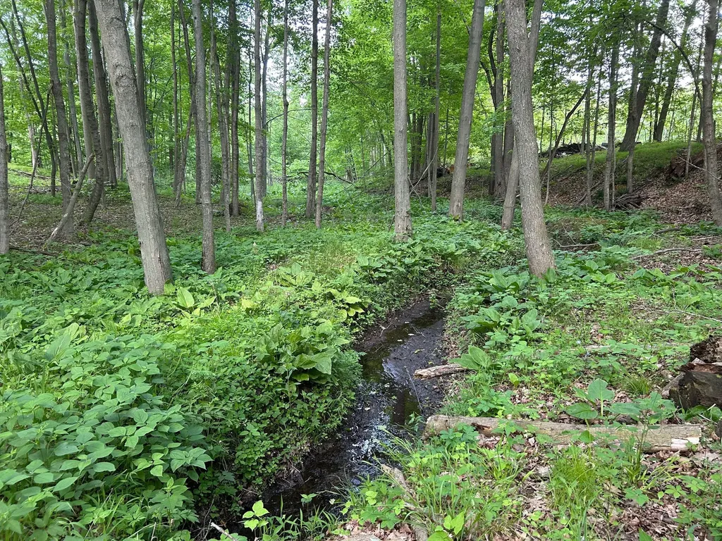 15300 Rome Road Rollin Township MI 49253