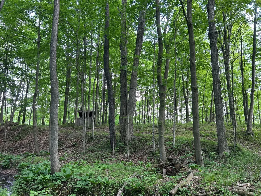 15300 Rome Road Rollin Township MI 49253